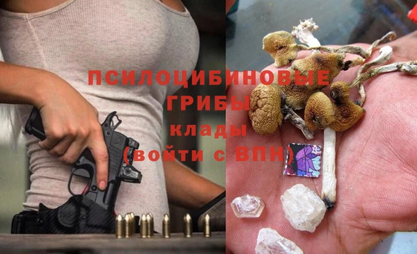 mdpv Надым