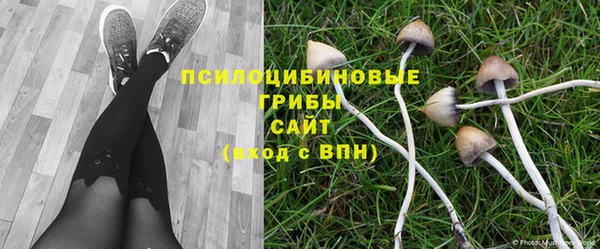 сатива Михайловка
