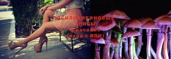 сатива Михайловка