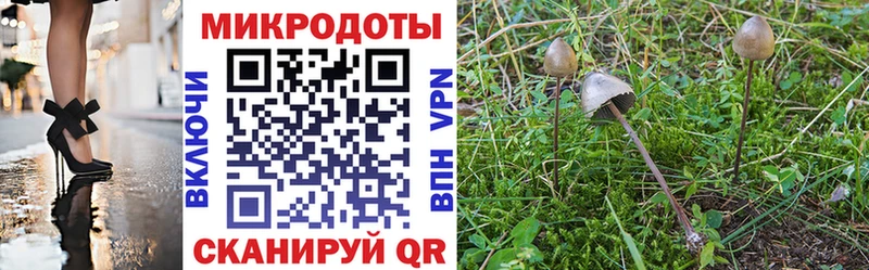 даркнет формула  Новоульяновск  Псилоцибиновые грибы GOLDEN TEACHER  закладки 
