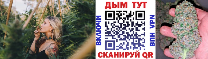 Бошки марихуана сатива  OMG маркетплейс  Новоульяновск  наркошоп 